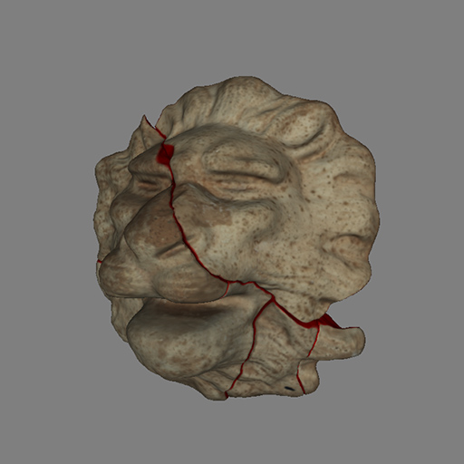 Lion head