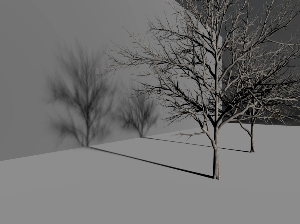 Soft Shadows - Tree
